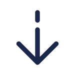 Arrow Down SVG Icon